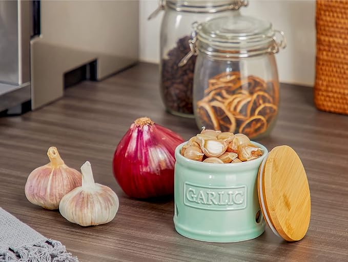 ONEMORE Garlic Keeper for Counter, Garlic Holder Countertop Storage Container, Garlic Saver Keeper with Lid, Ceramic Garlic Jar for Kitchen, Mint Green