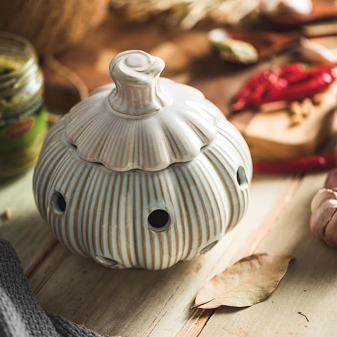 Garlic Storage Pod Ceramic Garlic Keeper with Lid Large Garlic Container for Counter, White