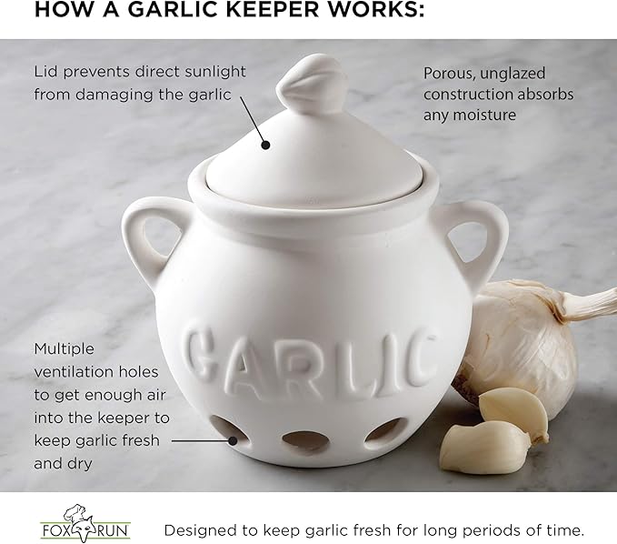 Fox Run Garlic Keeper and Storage, White Ceramic, 5.25" x 4.25" x 5.5"