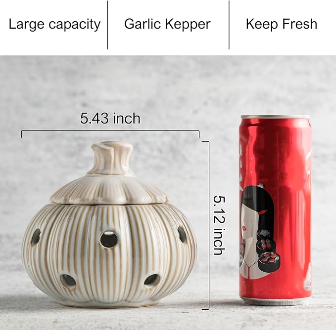 Garlic Storage Pod Ceramic Garlic Keeper with Lid Large Garlic Container for Counter, White